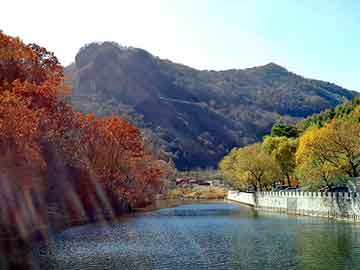 新澳天天开奖资料大全旅游团，河南新闻学院